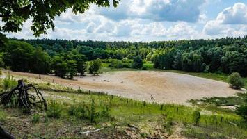wandern in berlin: zwischen sandgrube, teufelssee und grunewald-friedhof