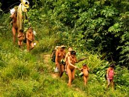 Unkontaktierte Völker: Das Wort Gottes tief im Wald