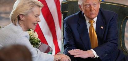 Zolldeal zwischen USA und EU: Warum Ursula von der Leyen keine andere Wahl hatte