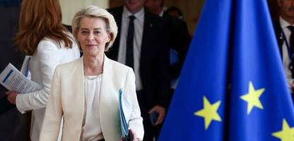 Zoll-Deal mit Donald Trump: Europa, Kontinent der Schwäche - Kolumne