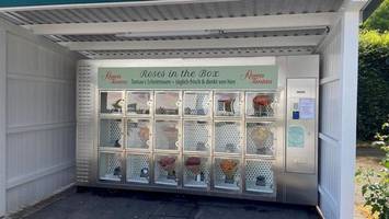 „blumen to go“: traditionsbetrieb verkauft rosen aus dem automaten