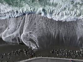 Rasend schnelle Flutwellen: Pazifikregion in Aufruhr: Was macht Tsunamis so gefährlich?