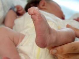 Umfrage zeigt große Unterschiede: Kinderwunsch bleibt groß - Geburtenrate schrumpft