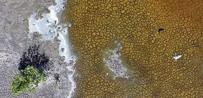Klimaschutz in den USA: Was es bedeutet, wenn Treibhausgase als harmlos eingestuft werden