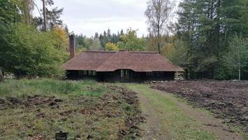 bismarcks hütte im sachsenwald: aumühle soll es richten