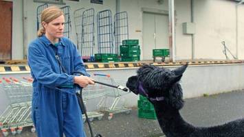 was guckst du? unsere filmtipps der woche