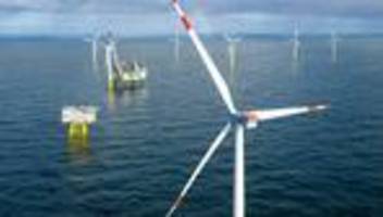 borkum: gericht weist beschwerde wegen seekabel in geschütztem riff zurück