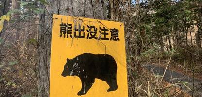 japan: bär attackiert offenbar frau vor pflegeheim