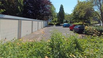 bäume verhindern wohnungsbau – hamburger genossenschaft verzweifelt