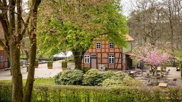 filmreife kulisse: diesen hof in der heide lieben promis und pferde