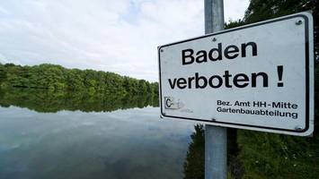 nächster hamburger see wegen blaualgen gesperrt