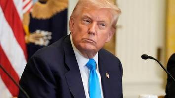 Trumps willkürliche Zölle: Politik nach Potentaten-Art