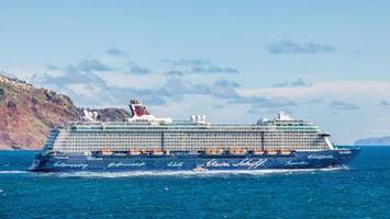„mein schiff“ vs. aida: insider verraten entscheidenden unterschied