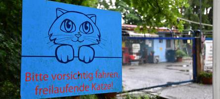 letzte frist fürs höchstädter tierheim läuft ab: kommt jetzt die zwangsräumung?