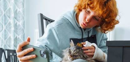 Für die Forschung: Universität Bochum benötigt Katzenvideos