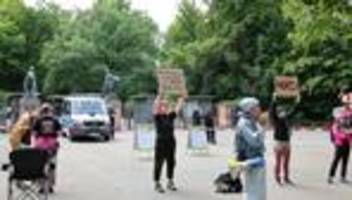 animal rebellion: aktivisten bauen protestcamp nach pavian-tötung in nürnberg auf
