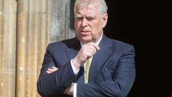 prinz andrew und epstein: neues buch enthüllt pikante details