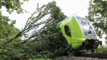 zug fährt in umgestürzten baum: bahnstrecke nach kiel gesperrt