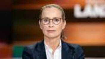 wahl der verfassungsrichter: uni hamburg startet weitere vorprüfung zu brosius-gersdorfs promotion