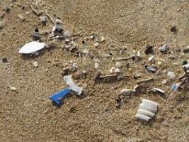 un-konferenz startet: plastikverseuchung macht auch vor dem körper nicht halt