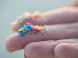 umwelt: mikroplastik und kunststoffe: wie schädlich sind sie für die gesundheit?