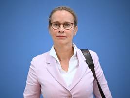 petitionen: wie eine spanische ngo in deutschland stimmung macht