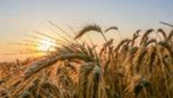 wetterbericht: sommer startet durch - 30-grad-marke wird sicher geknackt