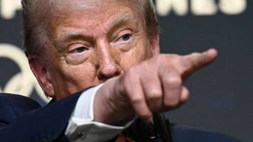 Wegen Epstein unter Druck: Donald Trump schürt das Feuer