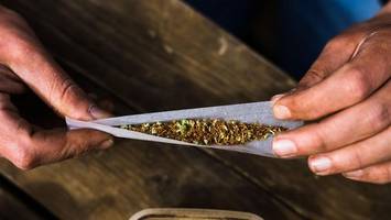 cannabis aus apotheken: versorgung von berliner patienten gefährdet?