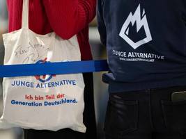 afd: die rechtsextreme jugend mischt weiter mit