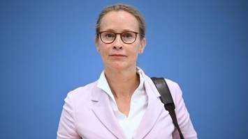 frauke brosius-gersdorf will nicht mehr ans bundesverfassungsgericht
