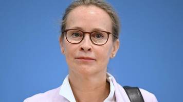 Frauke Brosius-Gersdorf: SPD-Richterkandidatin Brosius-Gersdorf zieht sich zurück
