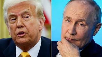 ukraine-krieg: kreml: treffen putins mit trump in den nächsten tagen