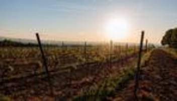 rheinland-pfalz und saarland: sonne und teils über 30 grad zum ende der woche