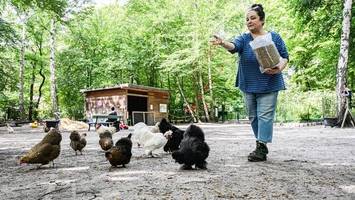 Warum die Erlebniswelt Jungfernheide schließen muss