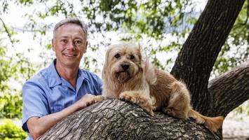 bester hund deutschlands: hamburger rüde pablo kämpft um titel