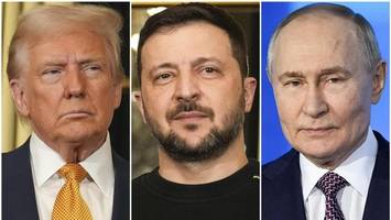 donald trump: putin muss selenskyj nicht vorab treffen