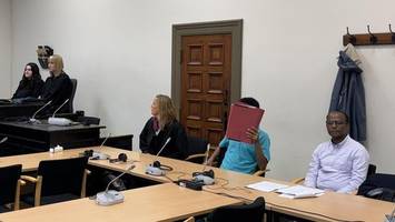Sexueller Übergriff in Stadtpark Harburg: Mann muss nach Ochsenzoll