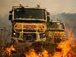 Waldbrände im Mittelmeerraum: Rekordfeuer wütet in Südfrankreich, Italien sperrt den Vesuv