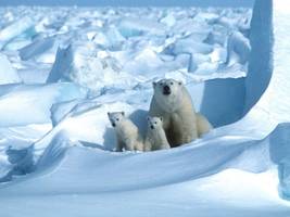 Ukraine-Konflikt: Wenn Putin nach Alaska kommt, betritt er ehemals russischen Boden