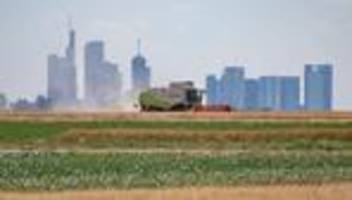 ernte: landwirte hoffen auf sonne und trockene böden