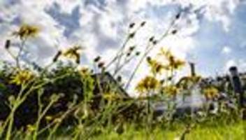 sommerwetter: sonne und wärme – nrw startet freundlich in die woche