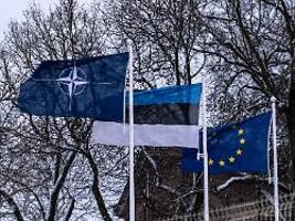 Estland wappnet sich für Angriff: Auf russische Truppen würde jeder Baum schießen, mit oder ohne Nato