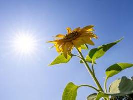 Wetterwoche im Schnellcheck: Der Sommer ist da und macht keine Anstalten zu gehen