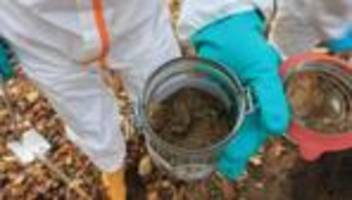 bodensanierung: dioxin-sanierung in boberger niederung startet im november