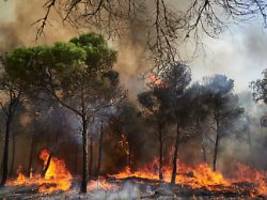brandstiftung vermutet: hunderte menschen fliehen vor waldbränden in spanien