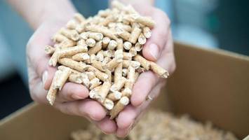 Pelletspreise am Montag (11. August): Der Preis pro Liter heute