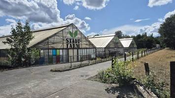 Ringen um Gewächshäuser der alten Stadtfarm: So soll es weitergehen