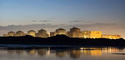 Frankreich: Quallen legen größtes Atomkraftwerk Gravelines lahm