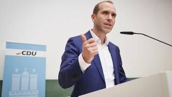 Paradox: Hamburgs CDU-Chef greift Merz an, Grüne stehen hinter Kanzler